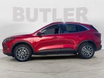 2024 Ford Escape PHEV